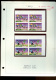 9875850 Mali Soccer Collection Sc535-3var Study