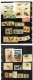 9881481 World Bird Stamps LOT Mint/Used/NH   w/ Varieties Wow!