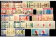 9902560 Dubai Scarce Varieties LOOK HiCV