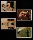 9912621 Topps 1957 4x Cards Nice Quality  Hi Market Value