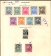 9914461 Barbados Sc 81-9   Varieties CV:450$   