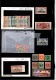 9914661 Egypte  VF MINT Selctions HiCV Nice Quality!