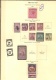 9914714 Trinidad 1894/... Nice Page M/U Look!