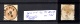 9915838 Austria L.V Sc 19 vfu cds cv:350$  