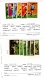 9916480 Belize NH/Mint Selections HiCV Superb!