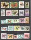 BUTTERFLIES & MOTHS of the WORLD